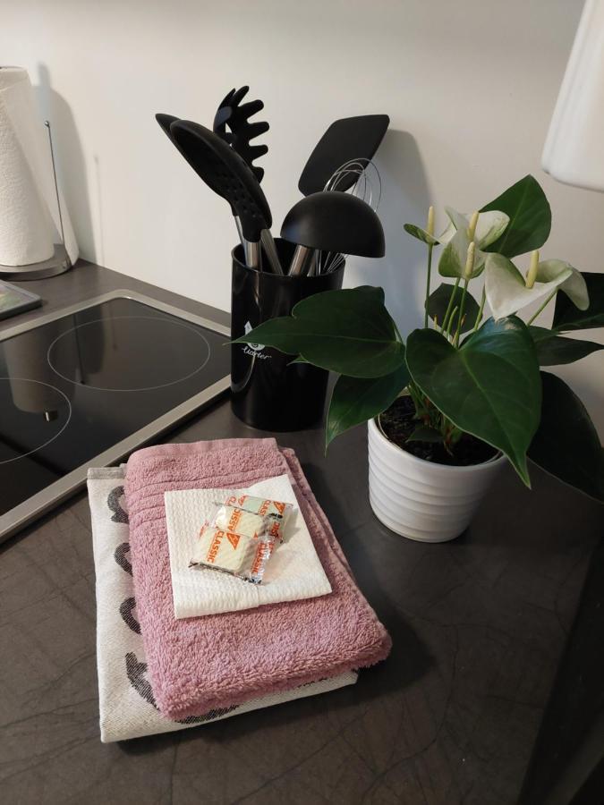 Helles Modern Eingerichtetes Apartment Halle (Saale) Exterior foto